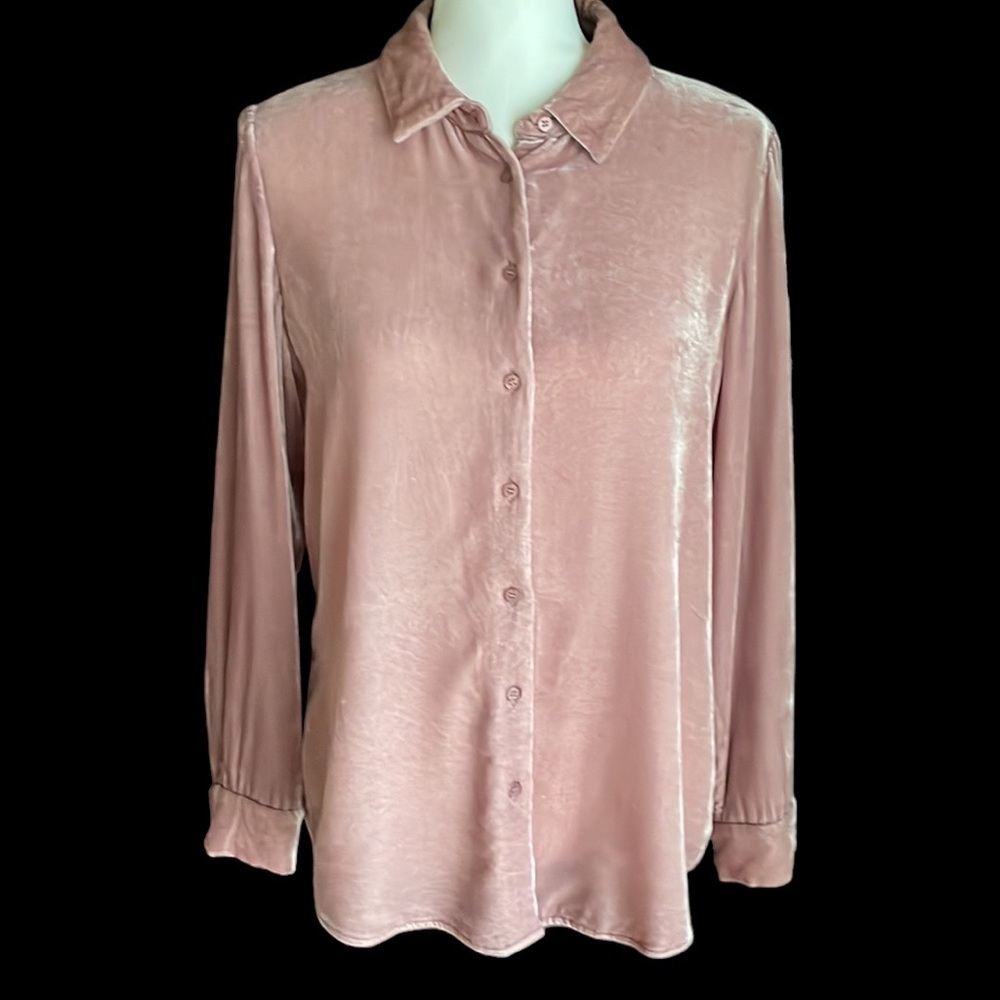 Pure Velvet Silk Blend Blouse 8/10